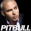Pitbull